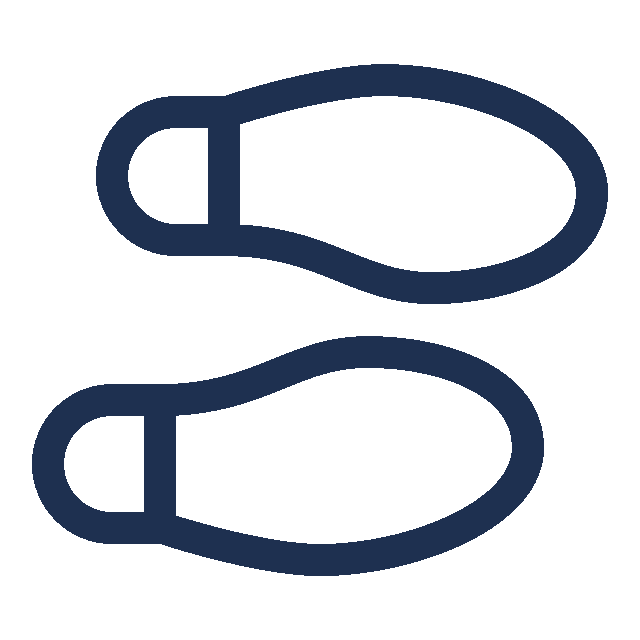 Shoes icon