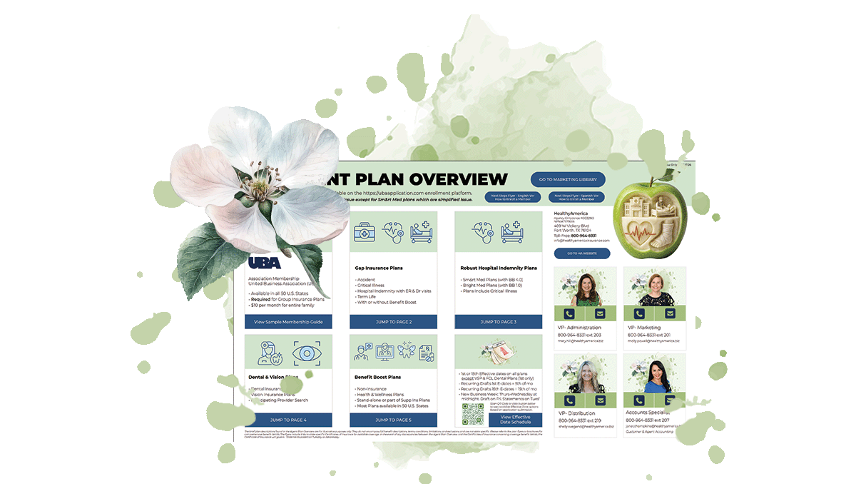 UBABB Plan Overview cover